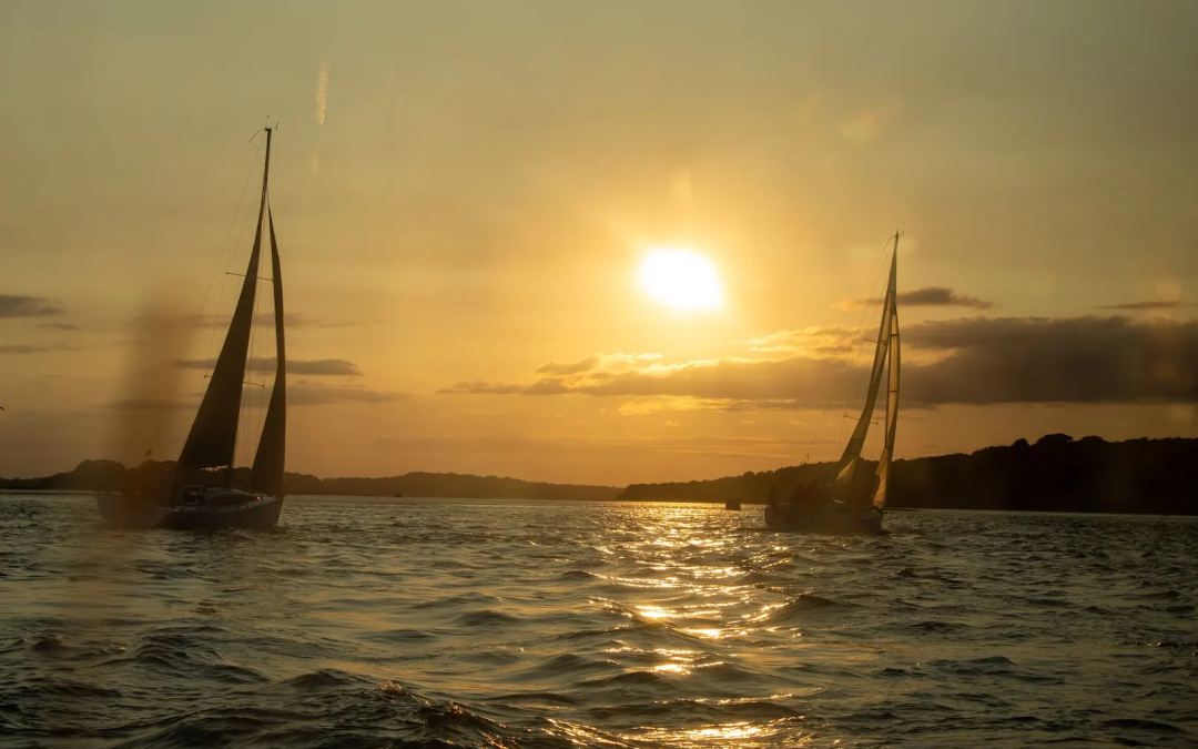 The Boat Trip – A Huge Thank You